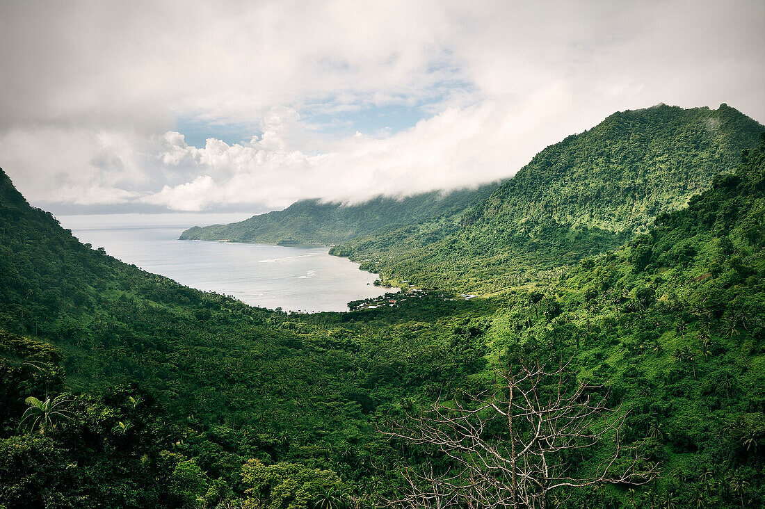 View at bay and tropical mountains with rainforest, Upolu, Samoa, Southern Pacific
