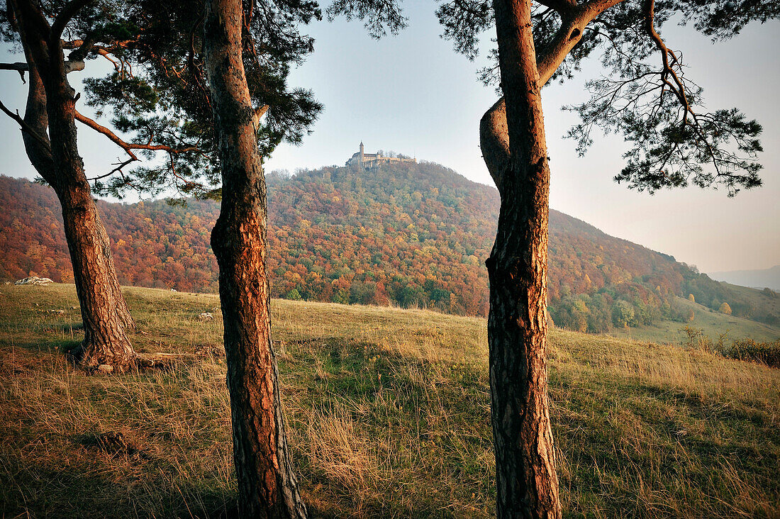 Blick durch Bäume auf Burg Teck im Herbst, Herbstfarben, Kirchheim Teck, Schwäbische Alb, Baden-Württemberg, Deutschland