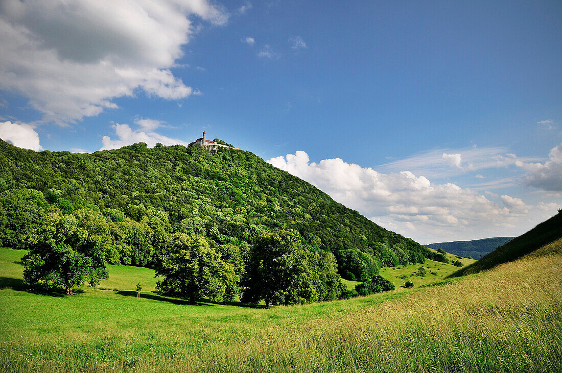 View of castle teck in the Summer, Kirchheim Teck, Schwaebische Alb, Baden-Wuerttemberg, Germany