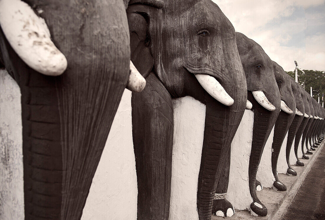 Heilige Elefanten Statuen in Anuradhapura, kulturelles Dreieck, UNESCO Weltkulturerbe, Sri Lanka