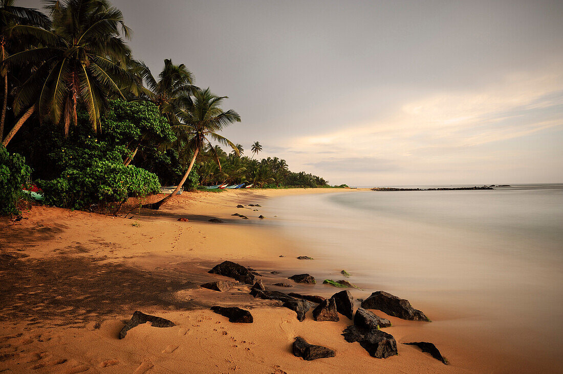 sunset at a bay around Mirissa beach, fishing boats between palm trees, Sri Lanka, Indian Ocean