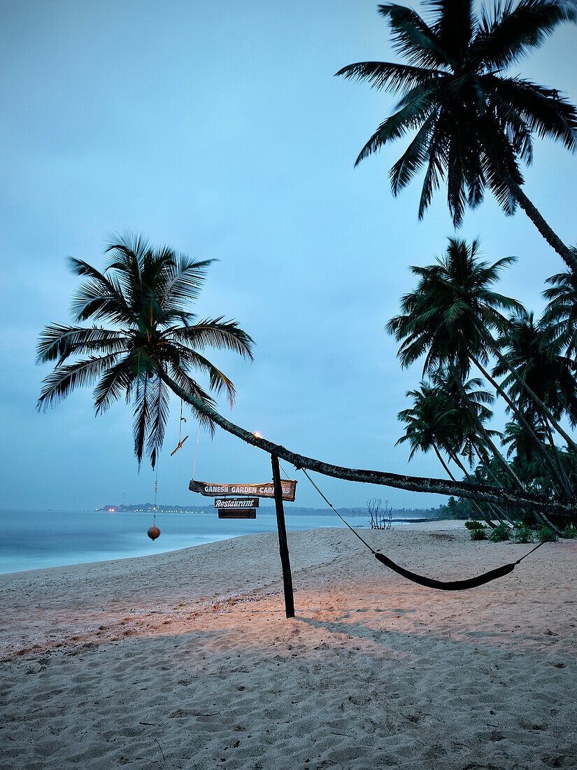 Crooked palm tree with hammock at Tangalle beach at dawn, Sri Lanka, Indian Ocean