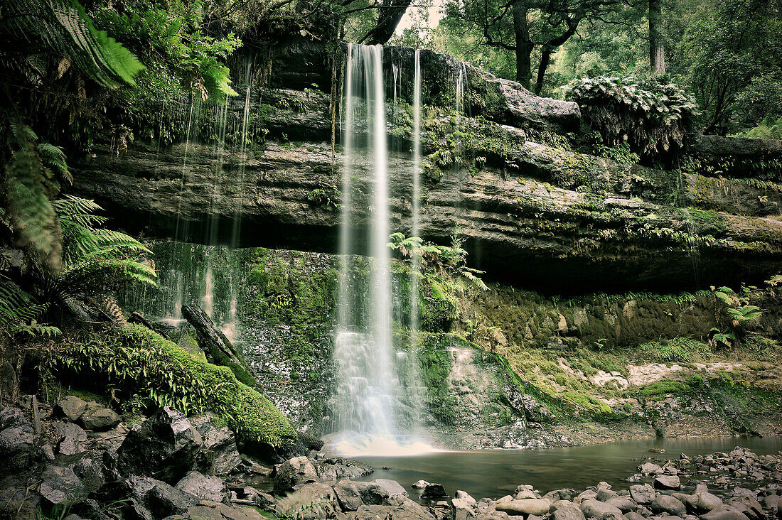 Russel Falls at Mount Field National Park, fern, Tasmania, Australia