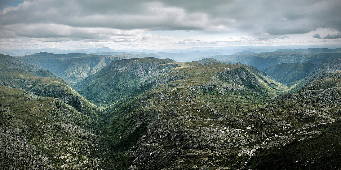 Panoramic view at the mountains of Tasmania, Overland Track, Cradle Mountain Lake St Clair National Park, Australia
