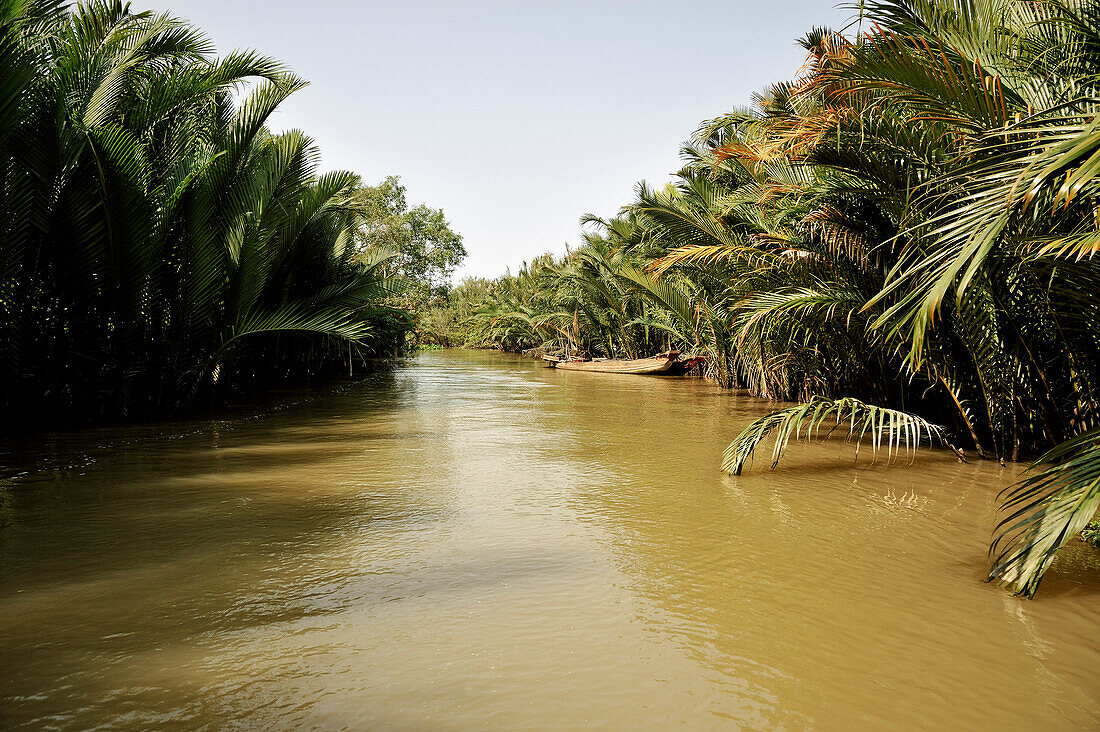Canal with palm trees and boat, in the Mekong Delta, Vietnam
