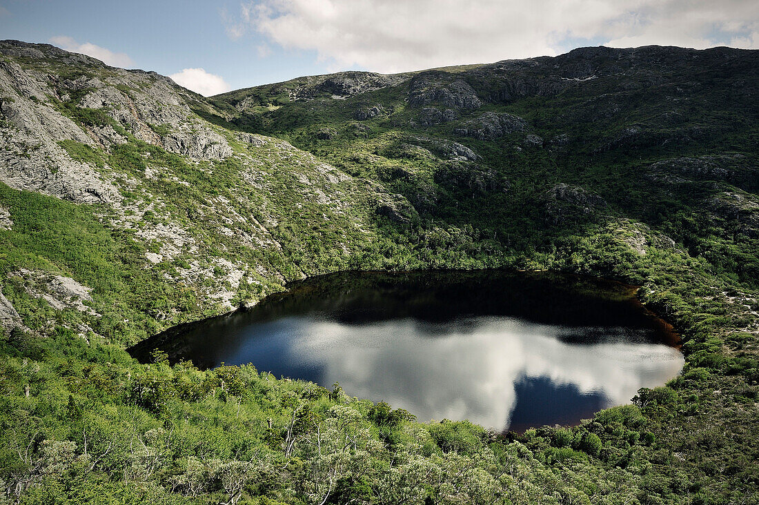 Wasserloch, Bergsee, See, Cradle Mountain Lake St Clair Nationalpark, Tasmanien, Australien