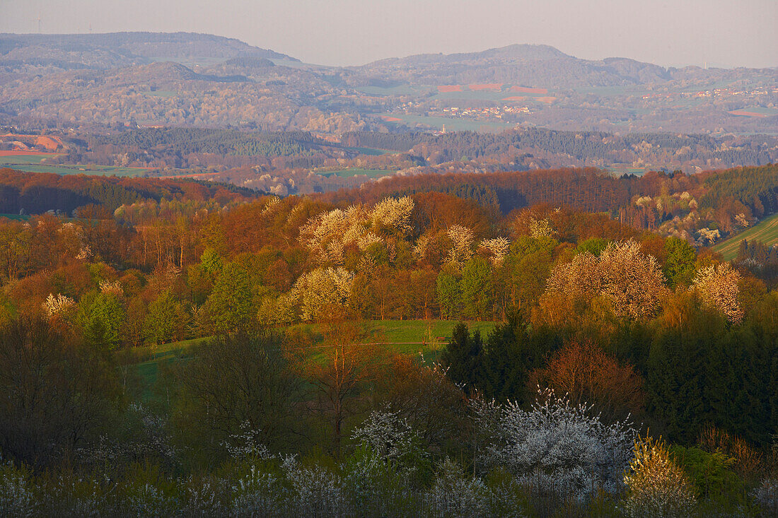 Blick vom Schaumberg nach Nordwesten am Abend, Saar-Nahe-Bergland, Saarland, Deutschland, Europa