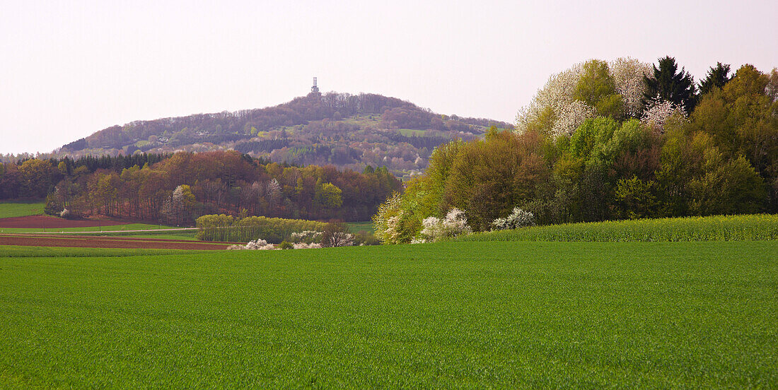 View at the Schaumberg near Tholey in spring, Saarland, Germany, Europe