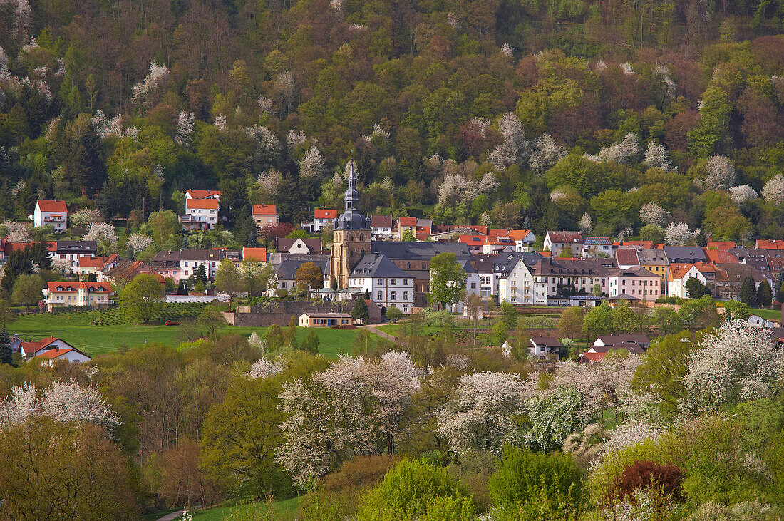 Blick auf Tholey mit Benediktinerabtei und Kirche St. Mauritius, Tholey, Saarland, Deutschland, Europa