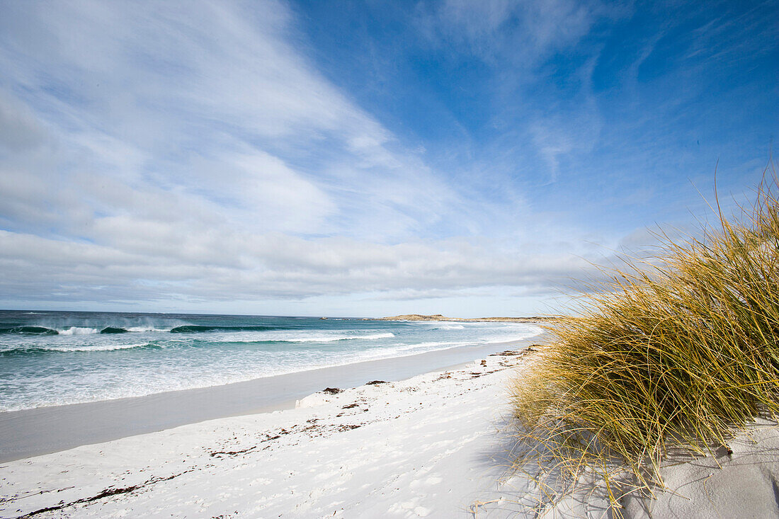 Surf bay close to Port Stanley, Falkland Islands