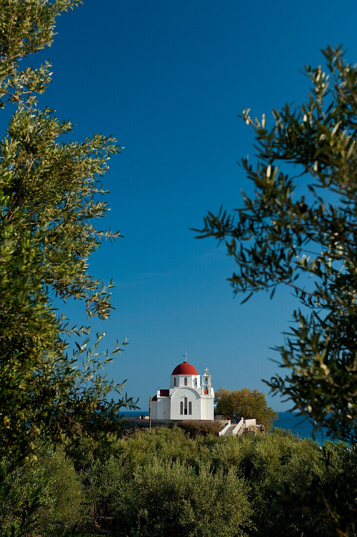 Looking through olive grove to church, East of Mirtos, Crete, Greece