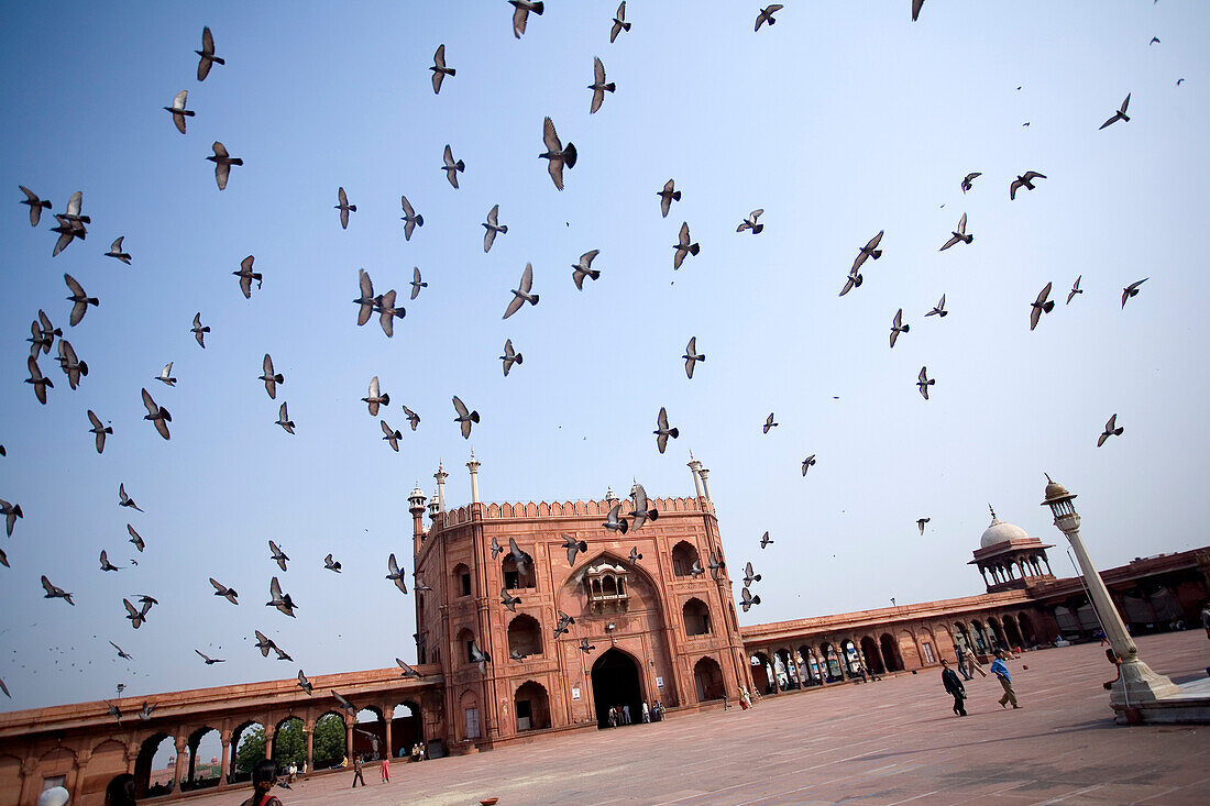 Jama Masjid Mosque and pigeons, New Delhi, India