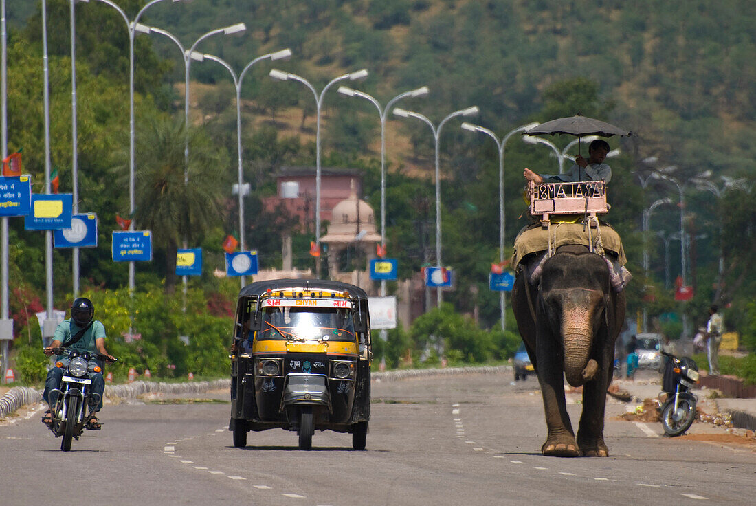 Motorcyclist, rickshaw and elephant going down road, Near Jaipur, Rajasthan, India.