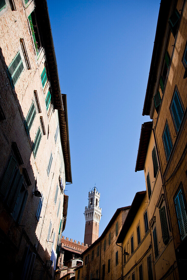 Tower of the Mangia, Mangia, Siena, Tuscany, Italy