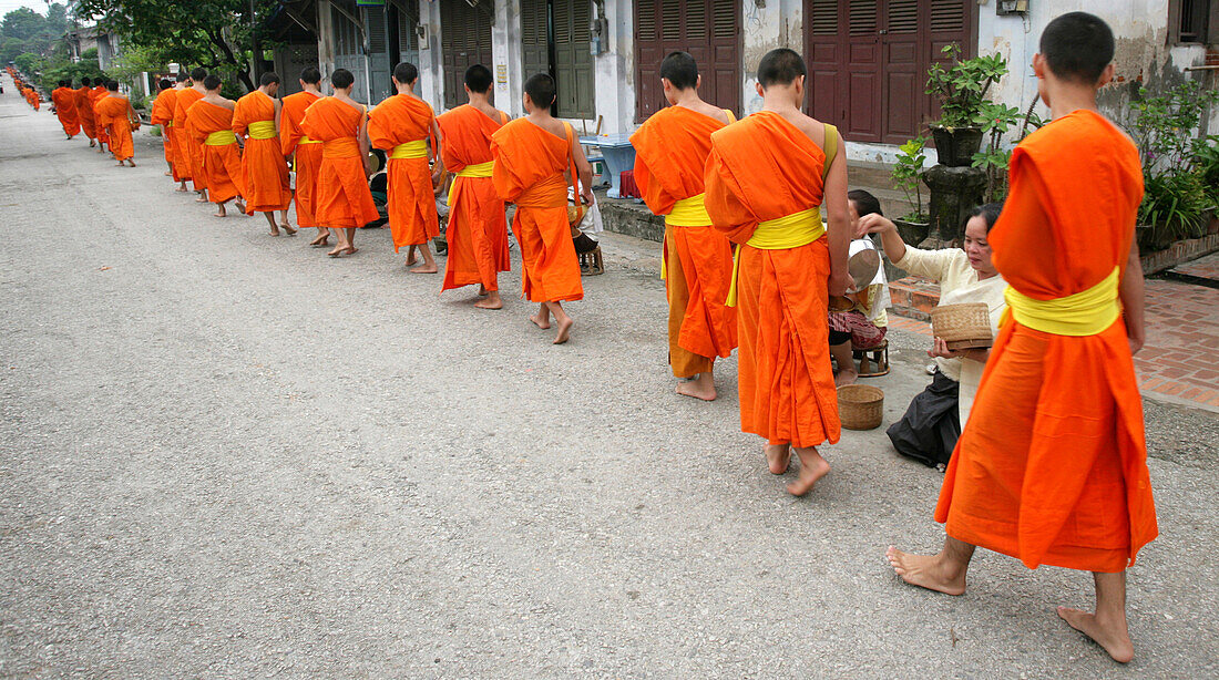 Novice monks collecting food donations, Luang Prabang, Northern Laos