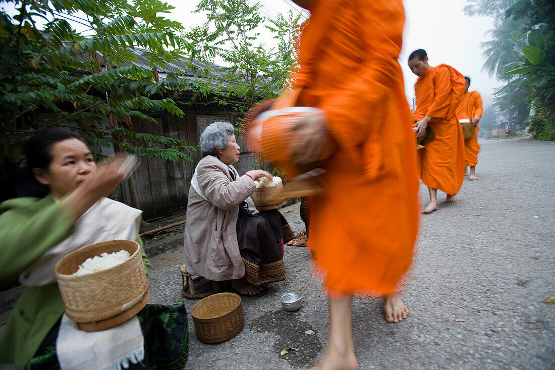 Novice monks out collecting alms at dawn, Luang Prabang, Northern Laos (UNESCO World Heritage Site)
