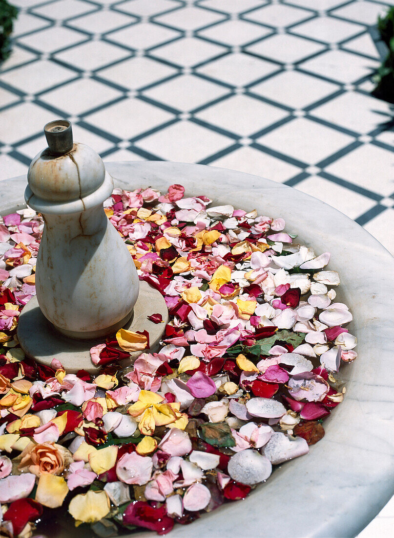 Flower blossoms in fountain on tiled floor, Marrakech, Morocco