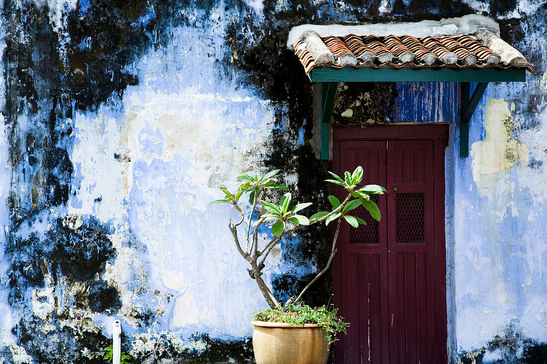 Doorway with tiled roof and plant, Georgetown,  Pulau Pinang (Penang), Malaysia