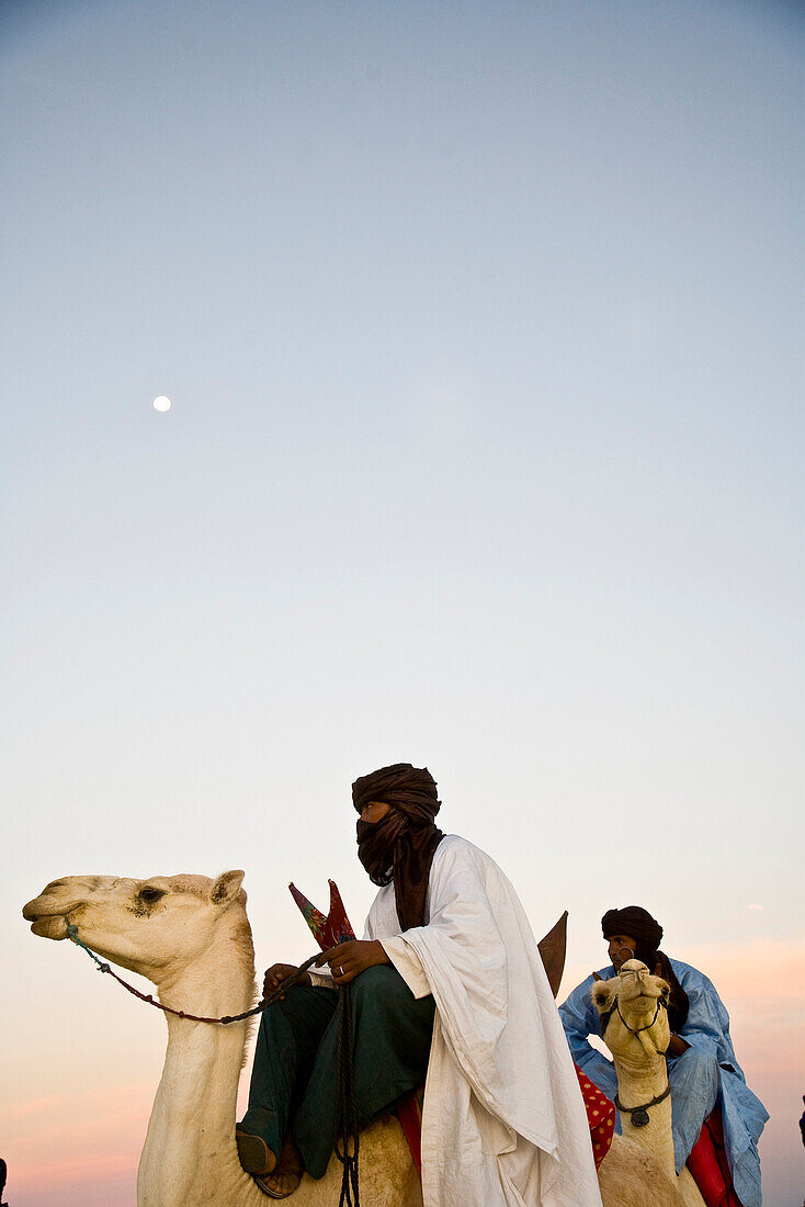 Tuareg on camel, Festival au Desert, Essakane, Mali