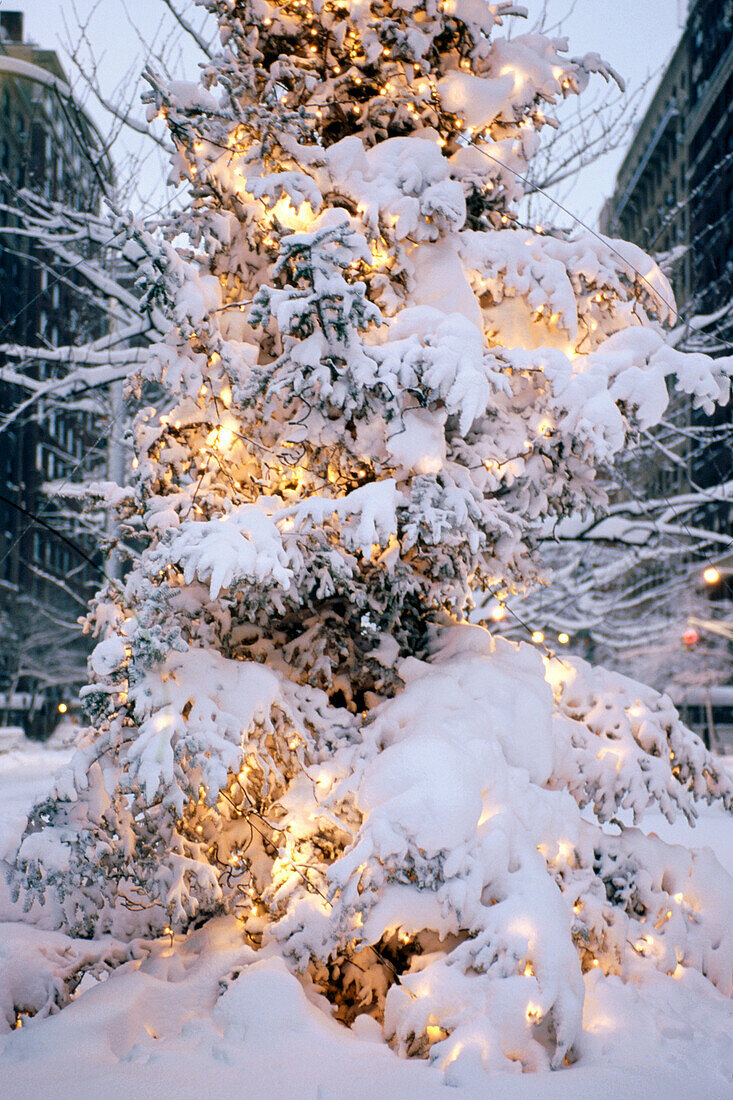 Snow covered lighted Christmas tree on Park Avenue, New York City