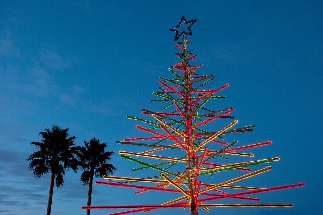 Tropischer Weihnachtsbaum