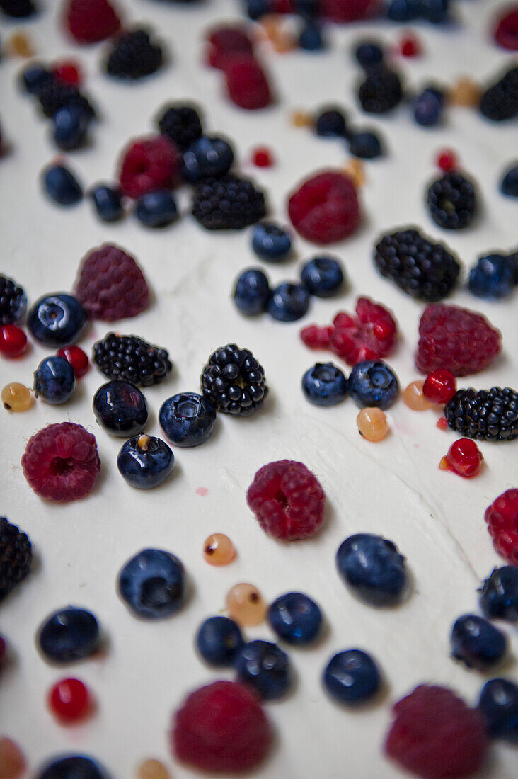 Fresh berries on a gateau, cake, Raspberries, Cranberries, Blackberries