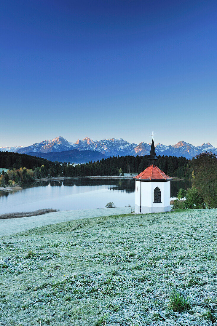 Chapel and lake with view of Tannheimer range at sunrise, lake Forggensee, Allgaeu, Allgaeu range, Swabia, Bavaria, Germany, Europe