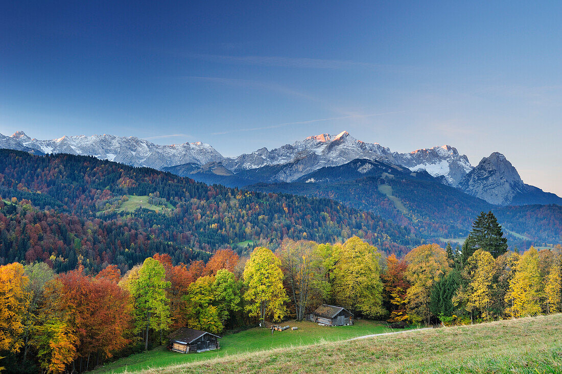 Wetterstein range with Alpspitze, Zugspitze and Waxensteine, trees in autumn colours in foreground, Garmisch-Partenkirchen, Wetterstein range, Upper Bavaria, Bavaria, Germany, Europe