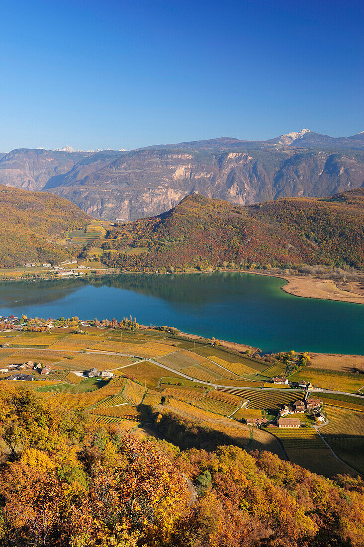 View to lake Kalterer See with vineyards in autumn colours and Dolomites in background, lake Kalterer See, South Tyrol, Italy, Europe