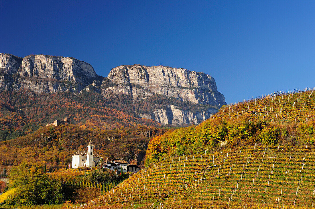 Herbstlich verfärbte Weinberge mit Kirche, Burg und Felsberge im Hintergrund, Eppan, Südtirol, Italien, Europa