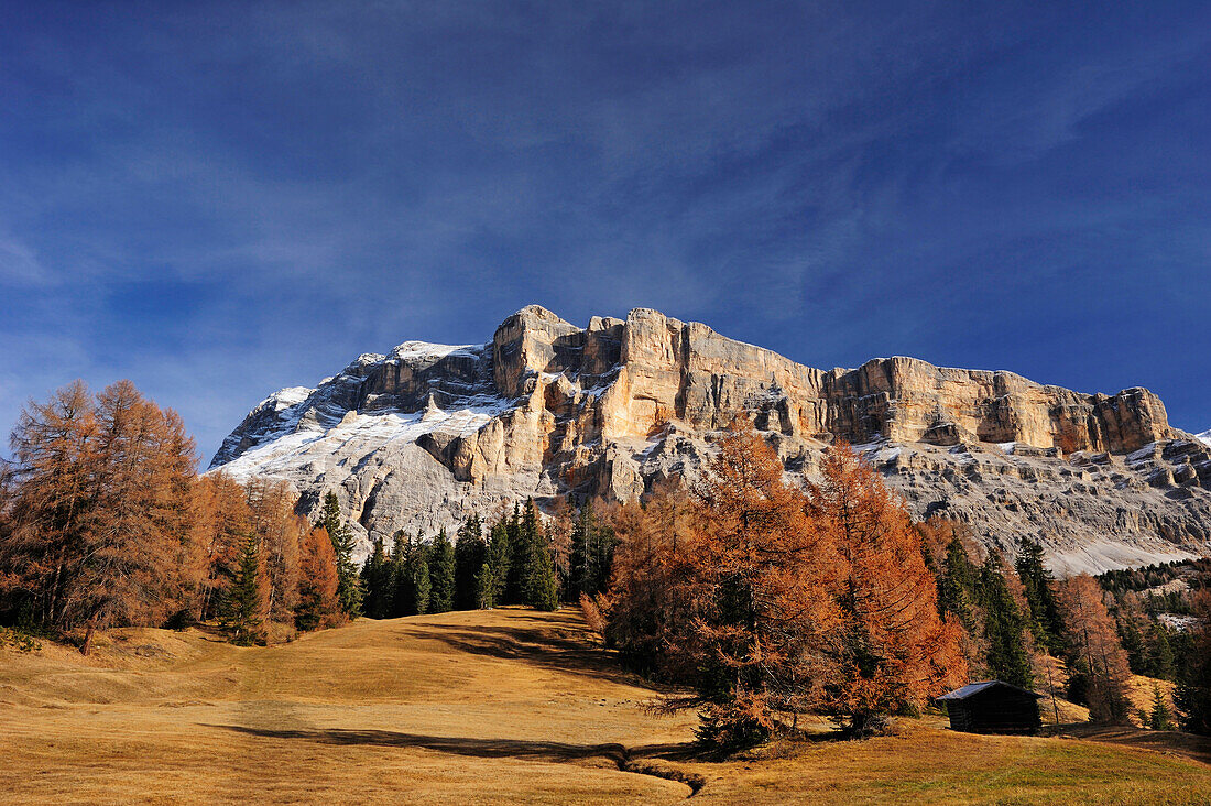 Meadows and larches in autumn colours in front of Heiligkreuzkofel, Heiligkreuzkofel, Fanes range, Dolomites, UNESCO World Heritage Site Dolomites, South Tyrol, Italy, Europe