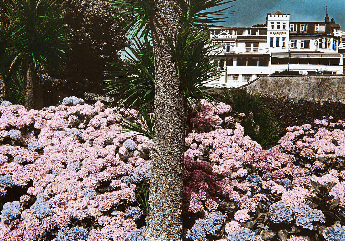 Hotel an der Strandpromenade, Paignton, Devon, Südengland, Großbritannien, Europa