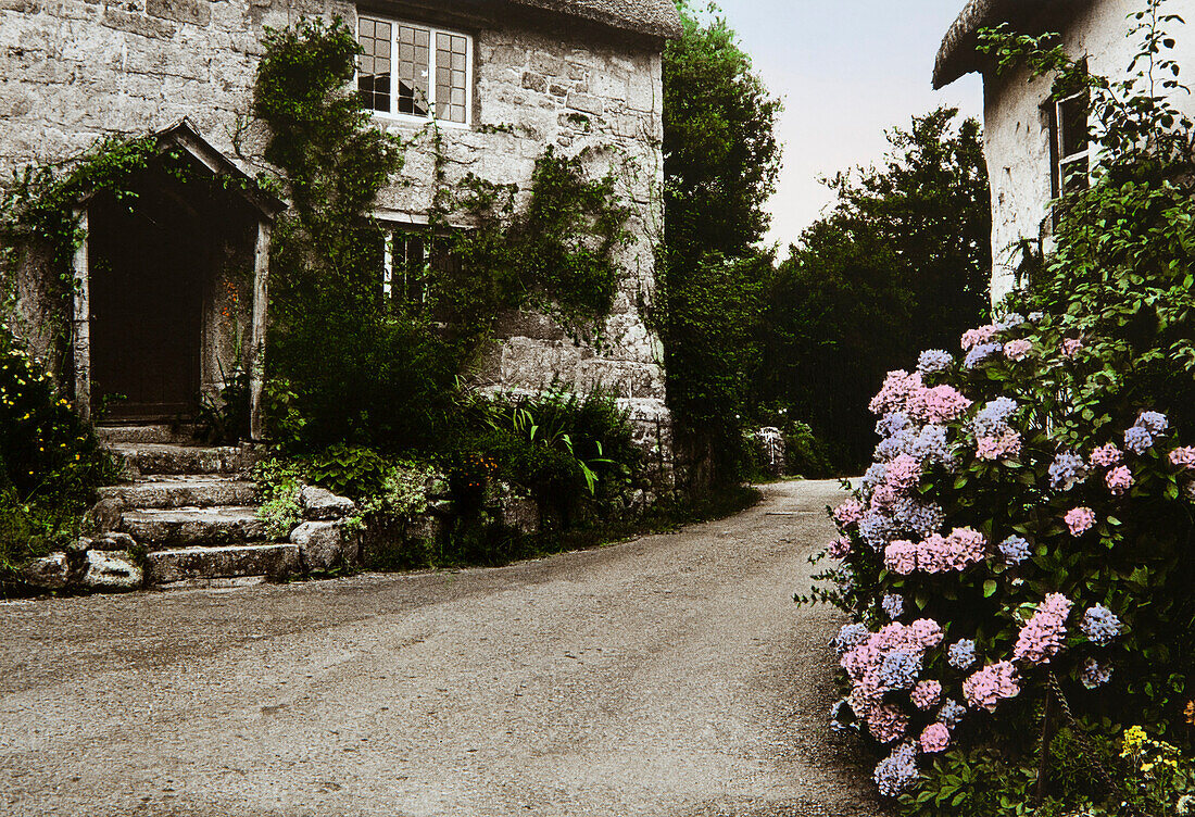 Bewachsene Hausfassaden mit Blumen, Devon, Südengland, Großbritannien, Europa