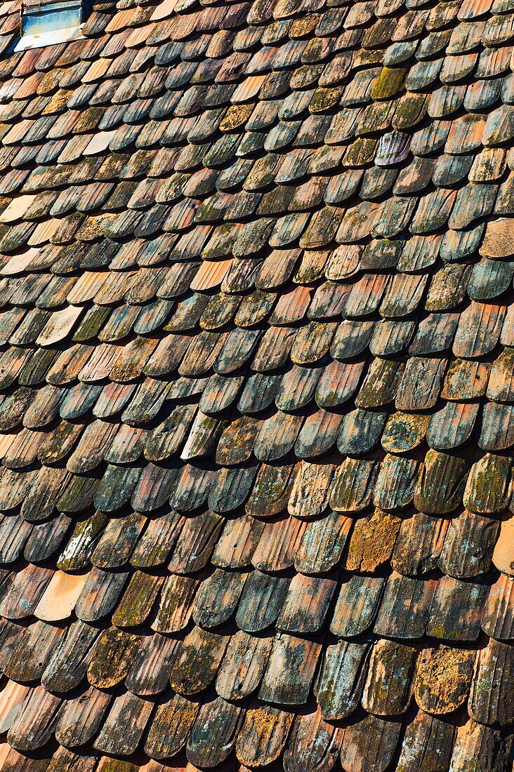 Roof with ´Biberschwantz´ traditional Alsatian flat tiles, Bouxwiller, Alsace, France