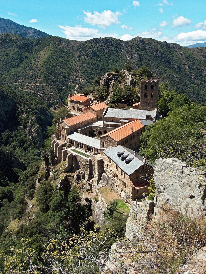 France, San Martin du Canigou, Abbey