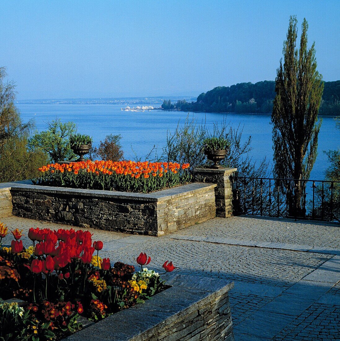 D-Konstanz, Bodensee, Baden-Wuerttemberg, D-Konstanz-Litzelstetten, Mainau, Insel, Blumeninsel, Schlosspark, Fruehling, Tulpenbluete, Bodenseelandschaft, Panorama, D-Constance, Lake Constance, Baden-Wuerttemberg, D-Constance-Litzelstetten, Mainau, island