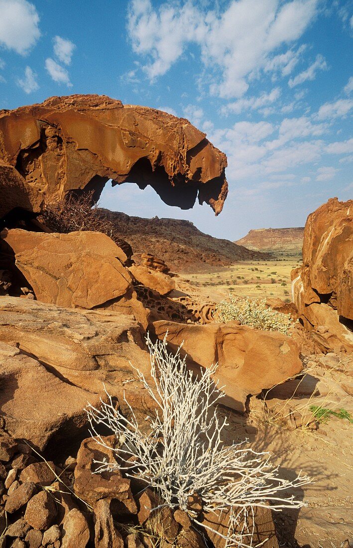 Namibia - Sandstone rock formations at Twyfelfontein in the Damaraland, west of the town of Khorixas