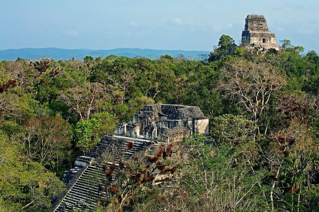 Lost World Temple on the foreground and temple IV on the background. Mayan ruins of Tikal. Guatemala.