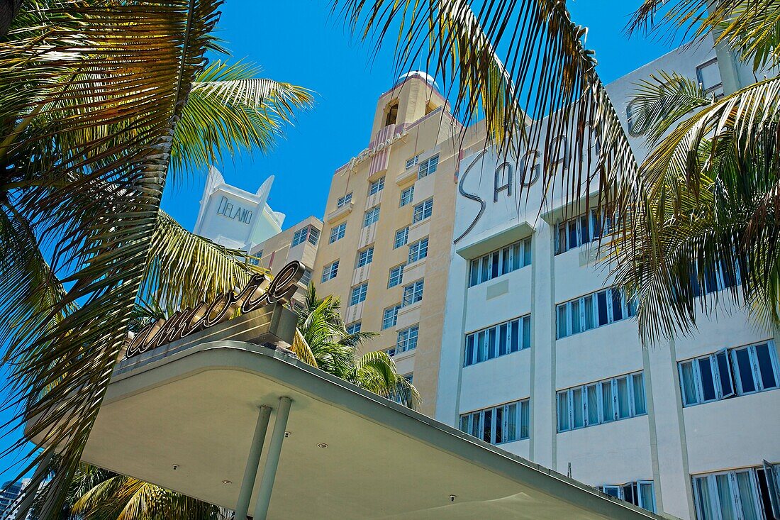 Sagamore Hotel and Delano Hotel, Collins Avenue, South Beach, Miami, Florida, USA