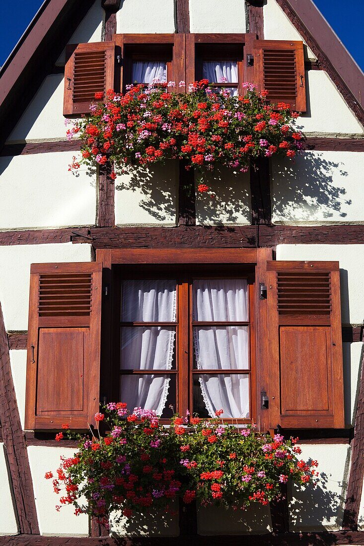 France, Haut-Rhin, Alsace Region, Alasatian Wine Route, Ribeauville, building detail