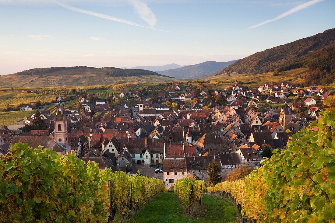 France, Haut-Rhin, Alsace Region, Alasatian Wine Route, Riquewihr, town view, dawn, autumn