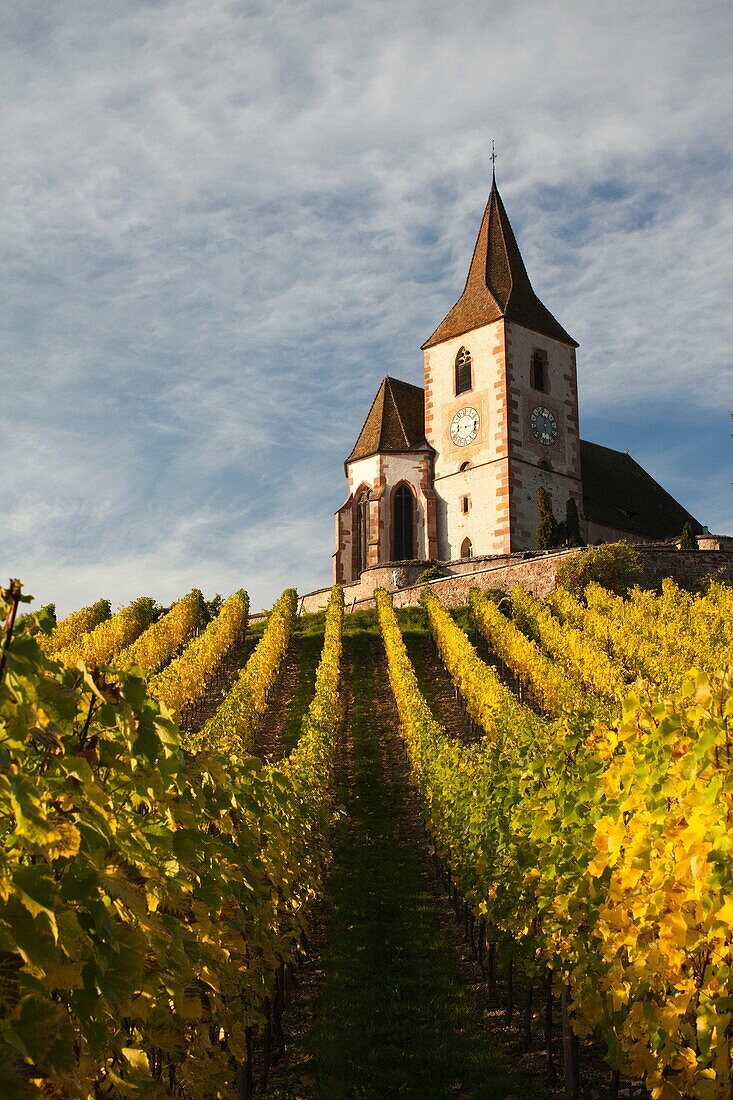 France, Haut-Rhin, Alsace Region, Alasatian Wine Route, Hunawihr, town church, autumn