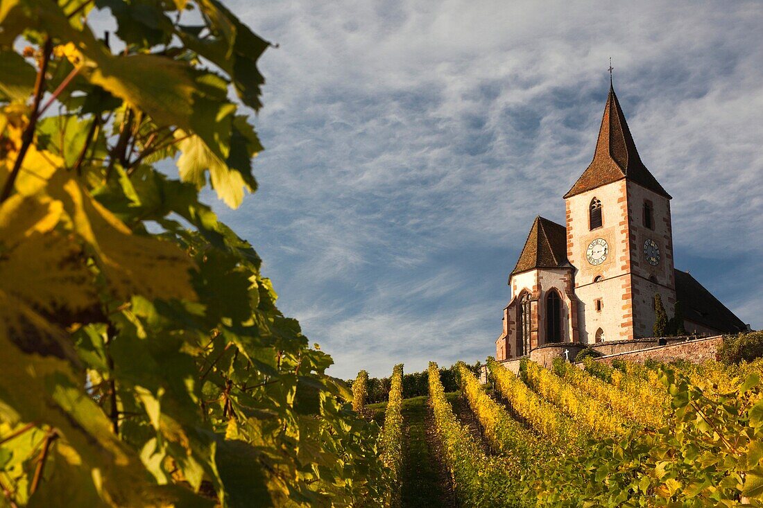 France, Haut-Rhin, Alsace Region, Alasatian Wine Route, Hunawihr, town church, autumn