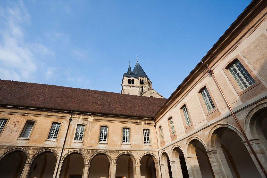 France, Saone-et-Loire Department, Burgundy Region, Maconnais Area, Cluny, Cluny Abbey cloisters