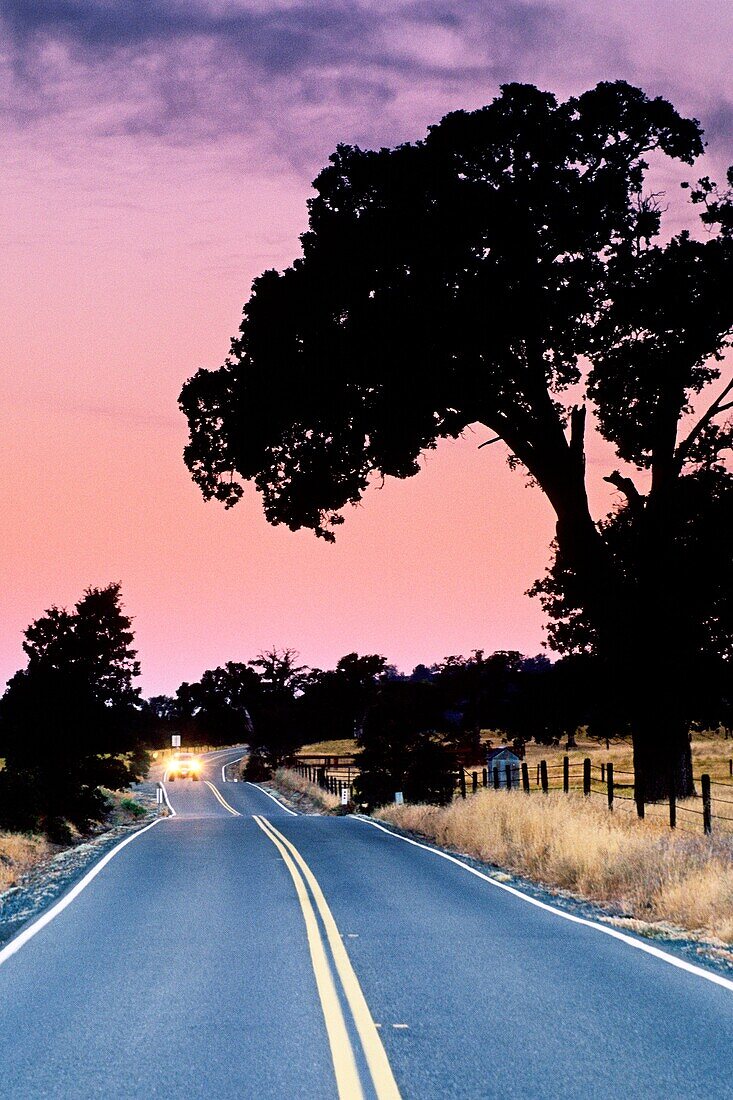 Dawn light over country road near Plymouth, Shenandoah Valley, Amador County, California
