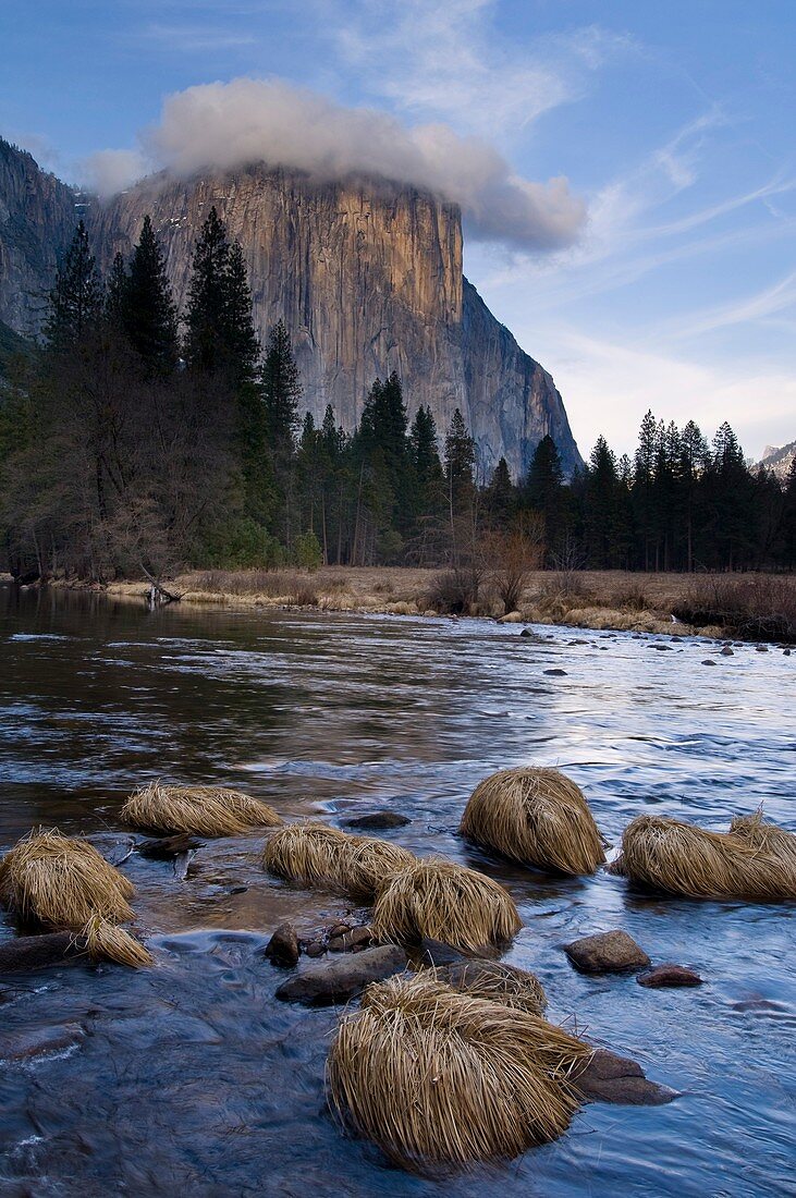 Cloud at sunset obscures the summit of El Capitan over the Merced River, Yosemite Valley, Yosemite National Park, California