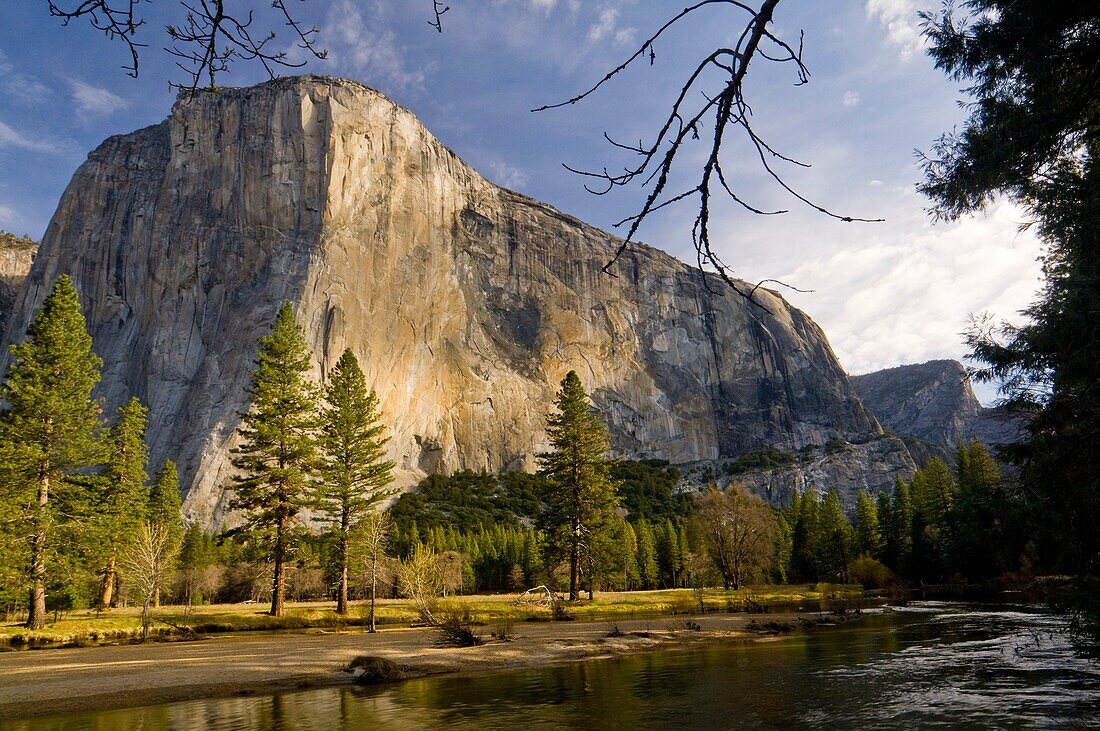 El Capitan on a Spring morning above the Merced River, Yosemite Valley, Yosemite National Park, California