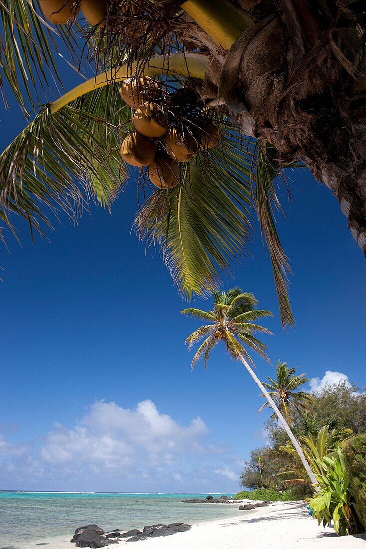 Rarotonga, Die Cookinseln