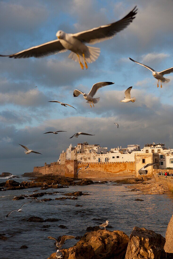 Essaouira, Marokko