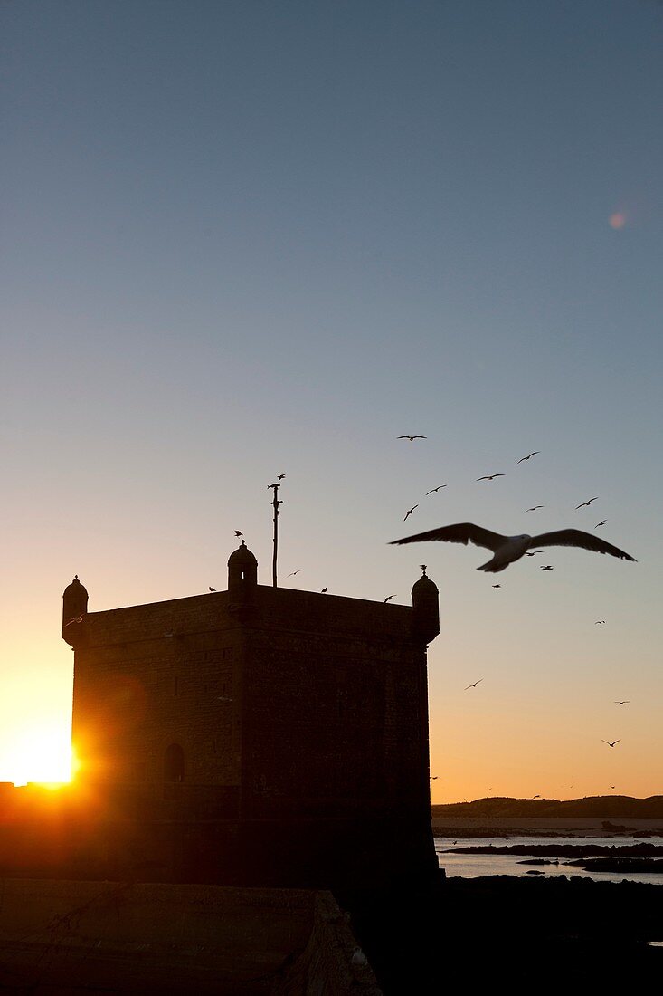 Essaouira, Marokko